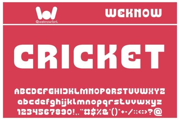 Cricket: A Techno-Sci-Fi Display Font That Pops on Handmade Goods